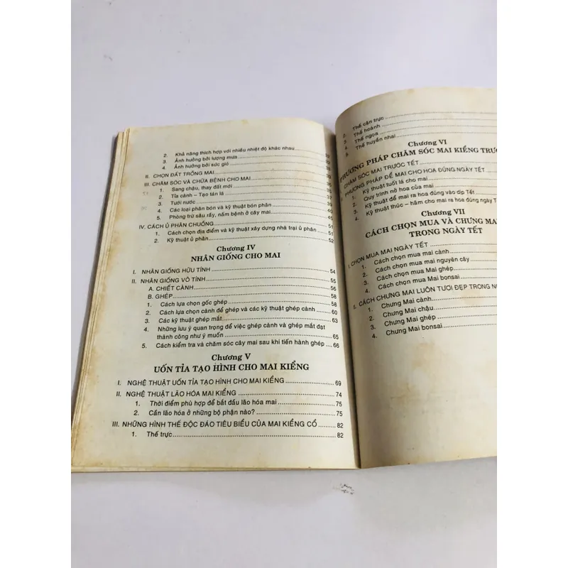 KỸ THUẬT TRỒNG MAI  595082