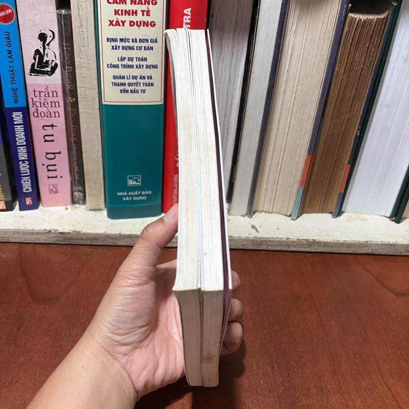 II Sách Thiếu Nhi: Nhóc Nicolas - Giờ Ra Chơi Của Nhóc Nicolas & Nhóc Nicolas Phiền Muộn 759260