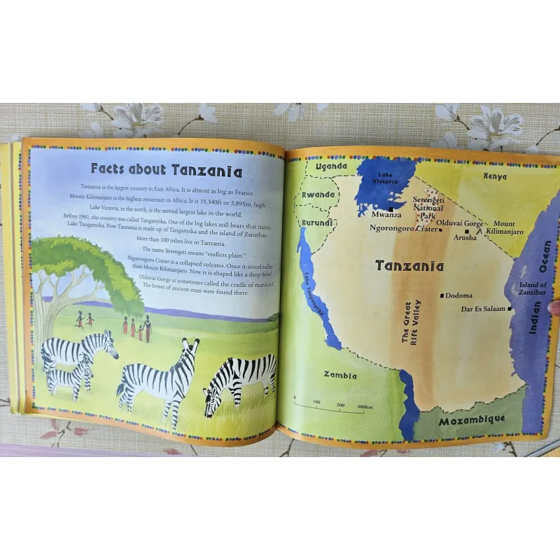 We all went on Safari 993819