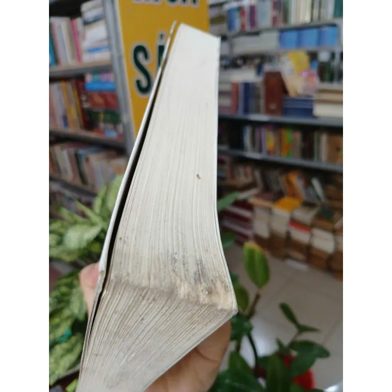 KHÔNG GIA ĐÌNH - HECTOR MALOT (HUỲNH LÝ DỊCH) 1038399