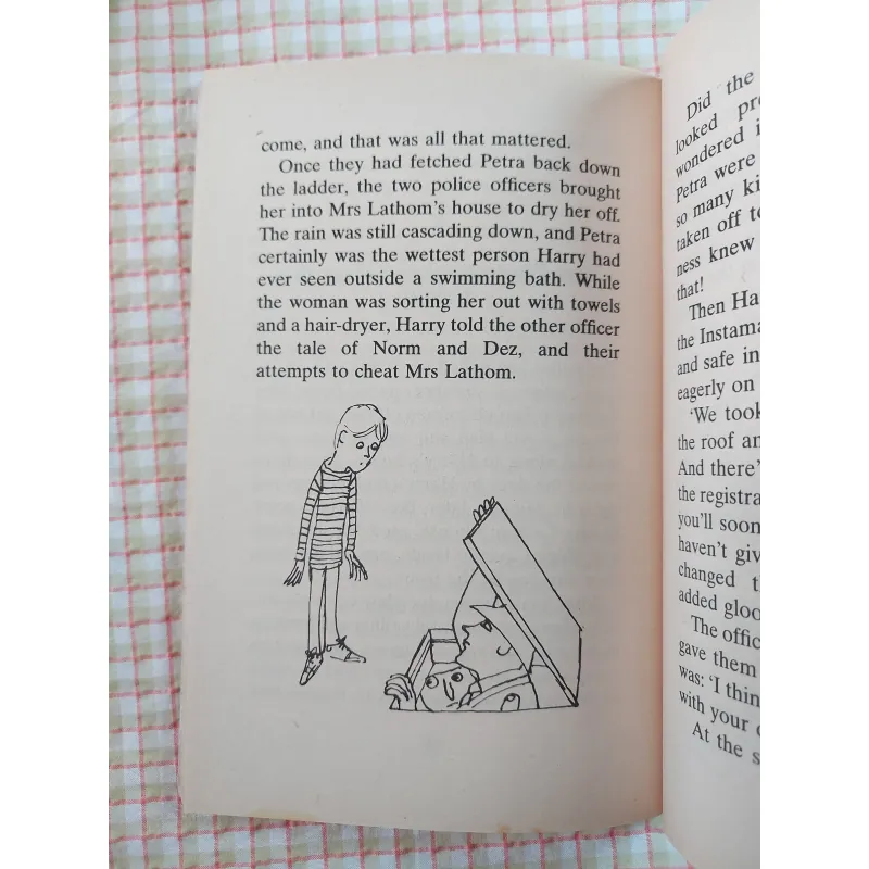 RUMPUS ON THE ROOF - Hazel Townson Minh họa: David McKee 750332