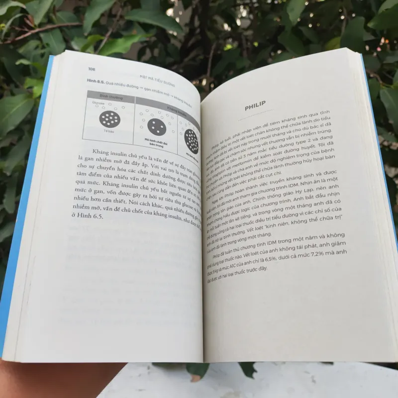 Mật Mã Tiểu Đường - BS Jason Fung 925343