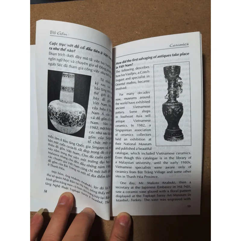 Đồ Gốm - ceramics 612552