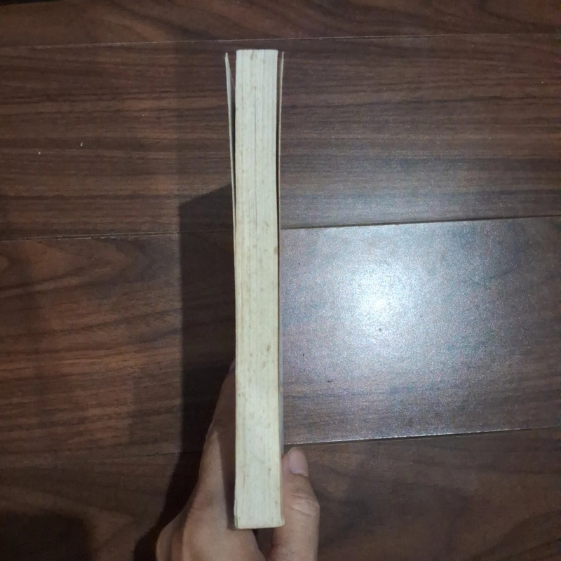Người tình hờ của nhà tỉ phú 526324
