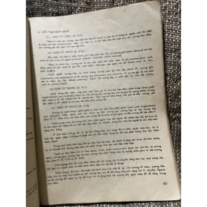 Bài giảng giải phẫu bệnh học - 2 tập, sách dày hơn 800 trang khổ lớn  1009096