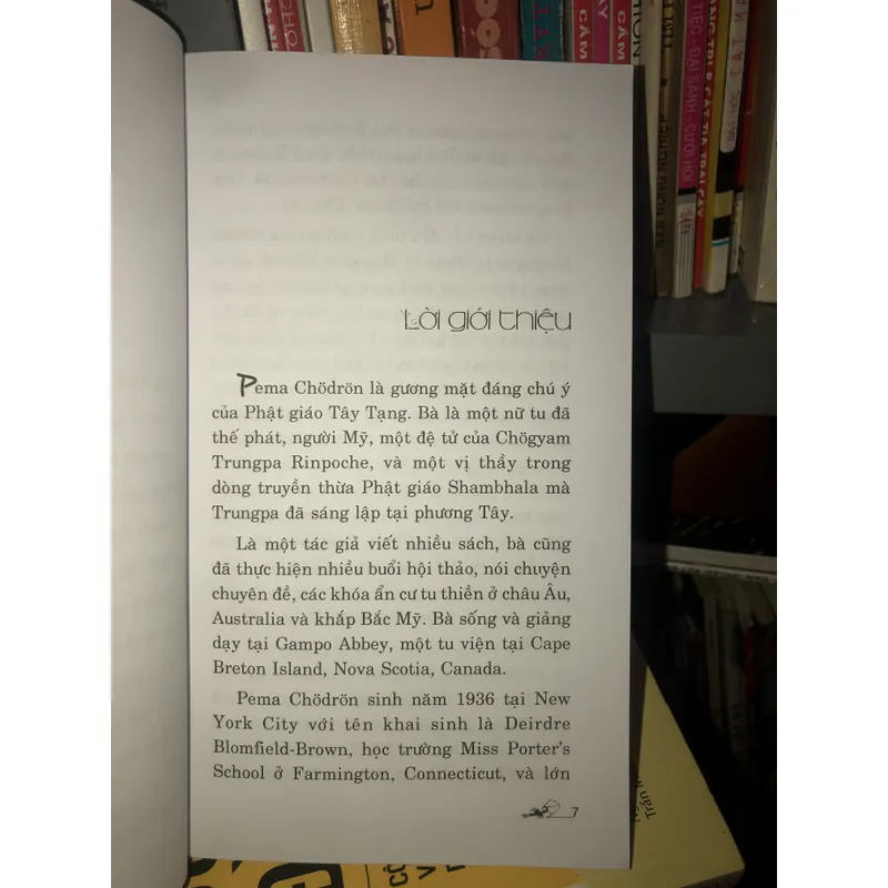 Cú nhảy - Thoát khỏi thói quen và nỗi sợ hãi - Pema Chodron  695623