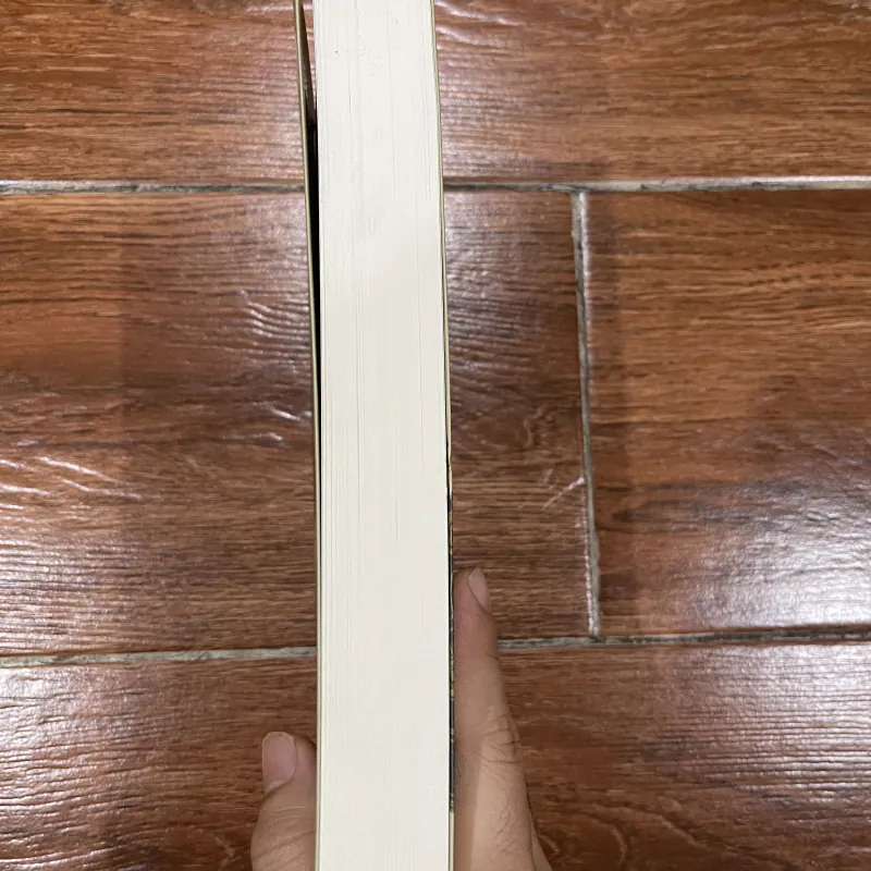 Xa lạ trong tôi - Orphan Pamuk (12) 1027783