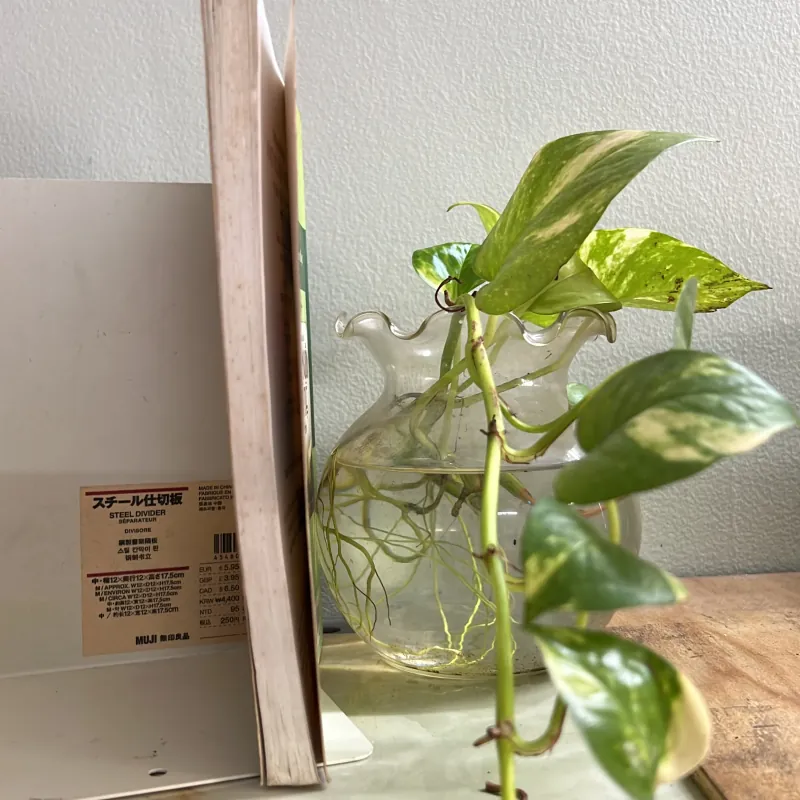 Khởi nguồn trí tuệ 751833