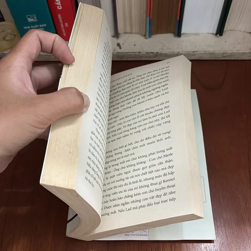 II LAD _ Câu Chuyện Về Phẩm Giá Của Một Con Chó - ALBERT PAYSON TERHUNE - ROGER VU (Dịch) 709217