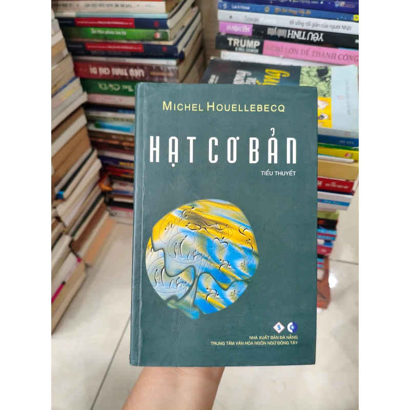 Hạt cơ bản 🌱 507330