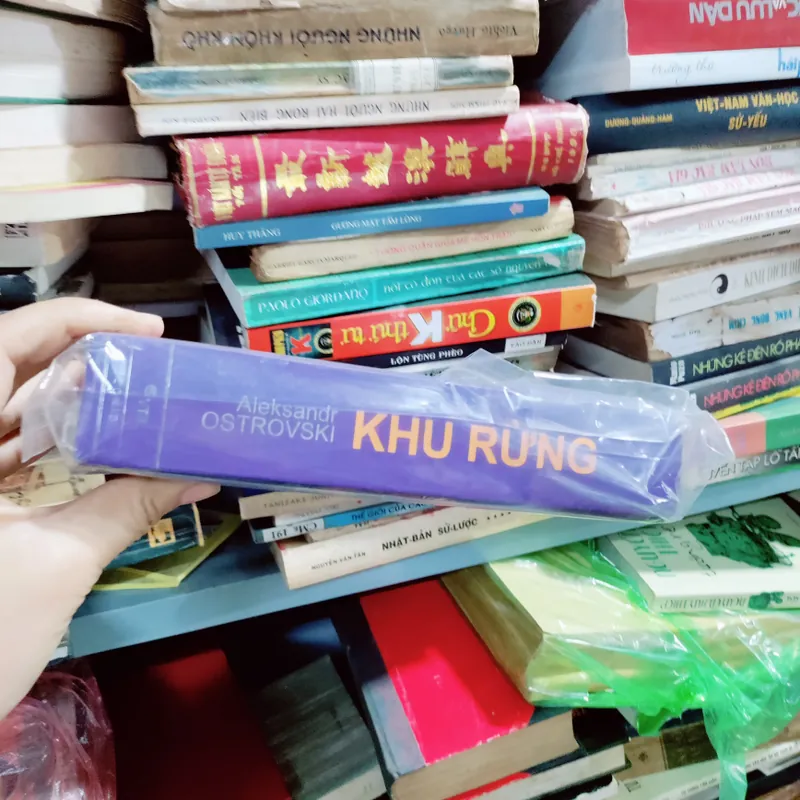 Khu rừng của VTB 673744