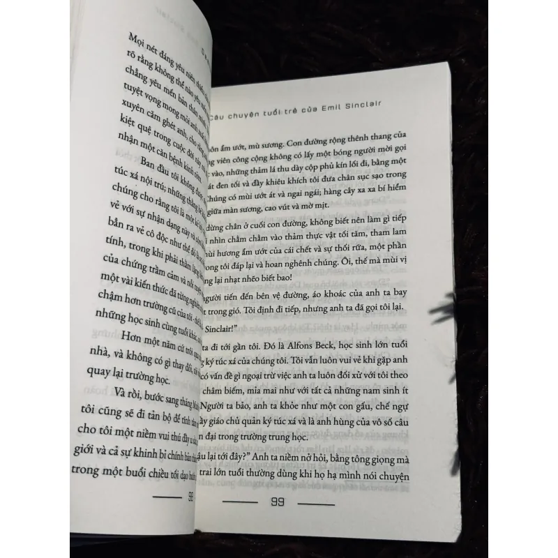 Combo demian + Huệ tím 1017660