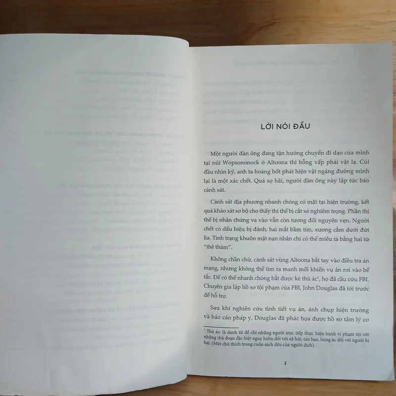 Tâm Lý Học Tội Phạm - Phác Họa Chân Dung Kẻ Phạm Tội (Diệp Hồng Vũ) 706114