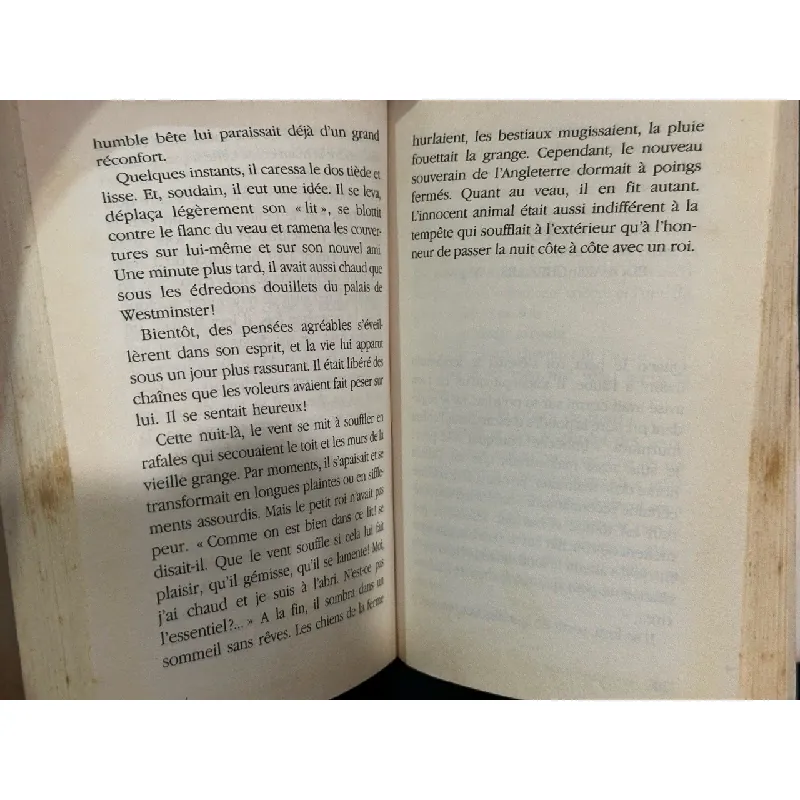 Le Prince et le Pauvre - Mark Twain 609313