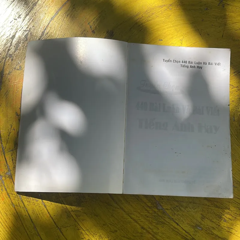 HƯỚNG DẪN PHƯƠNG PHÁP LÀM LUẬN 440 BÀI LUẬN & BÀI VIẾT TIẾNG ANH HAY 696500
