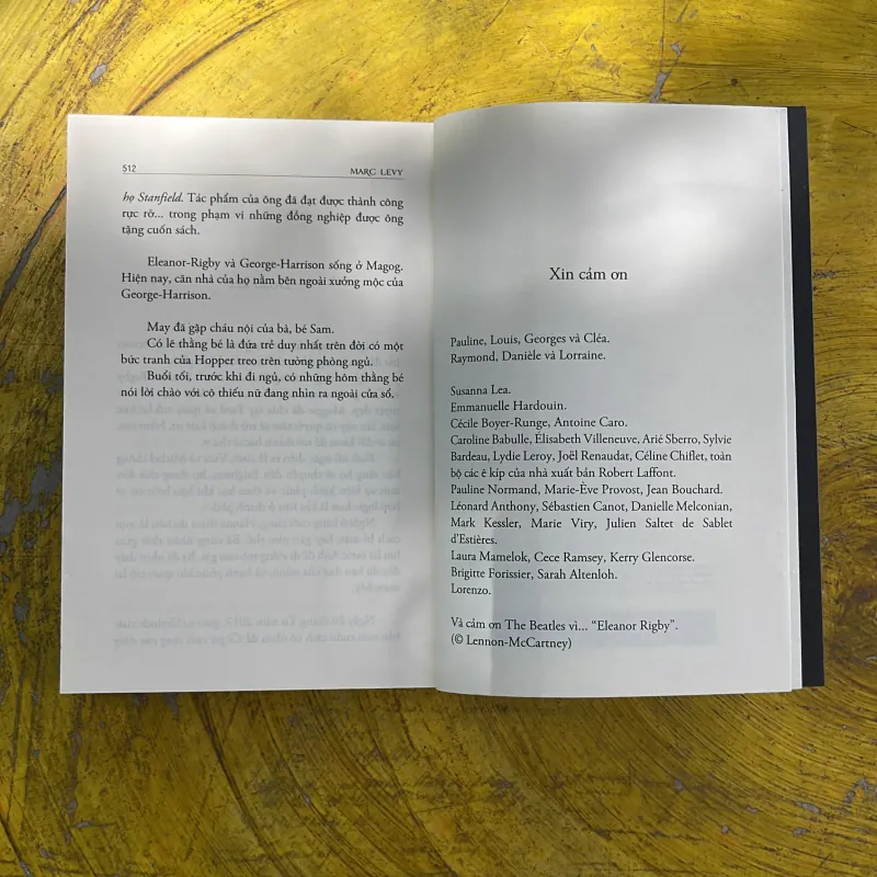 CÔ GÁI CUỐI CÙNG CỦA DÒNG HỌ STANFIELD - MARC LEVY 996989