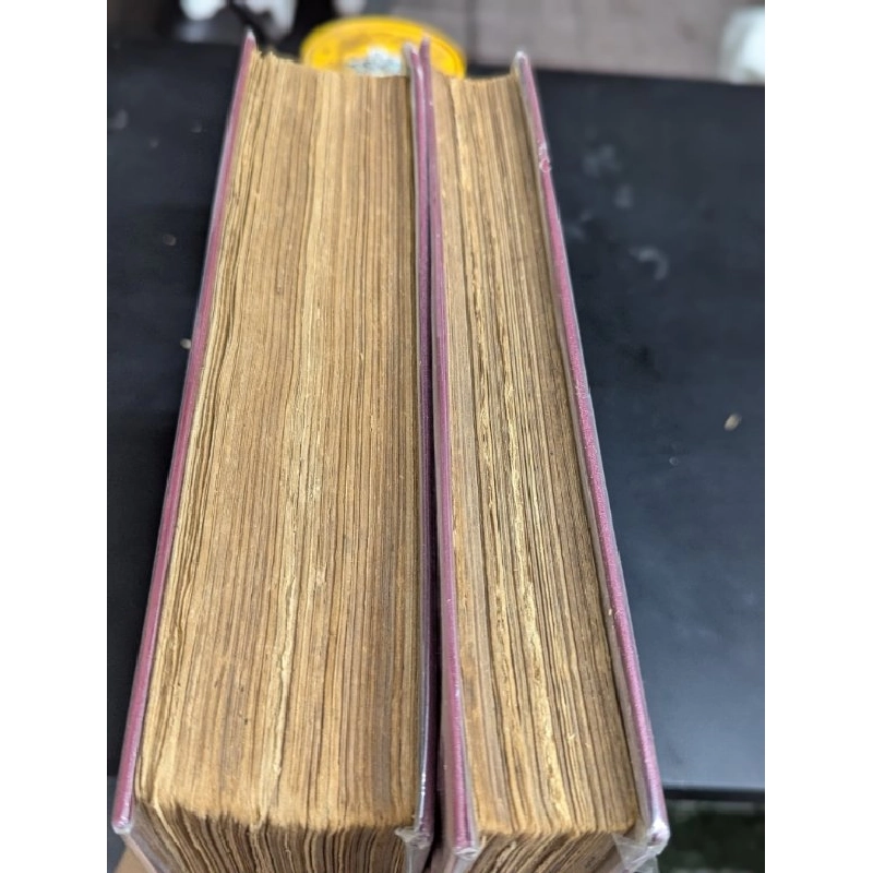 Việt nam văn học toàn thư - Hoàng Trọng Miên 478012