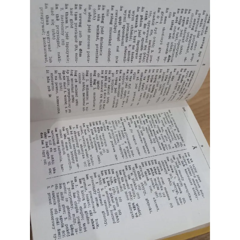 Wietnamsko-Polski Polsko-Wietnamski 570461