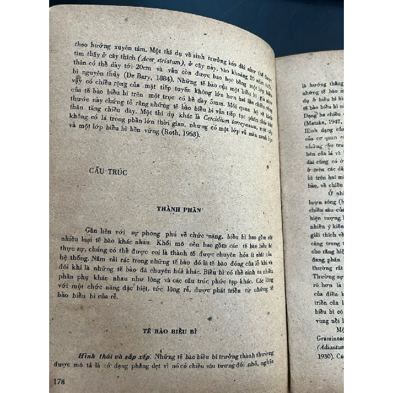 Giải phẫu thực vật 936449