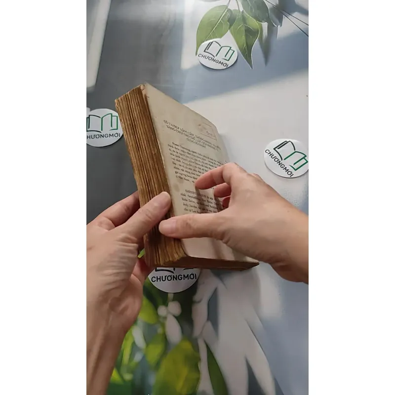 [XƯA] Còn Hơn Tội Lỗi (1991) - Barney Leason 776056