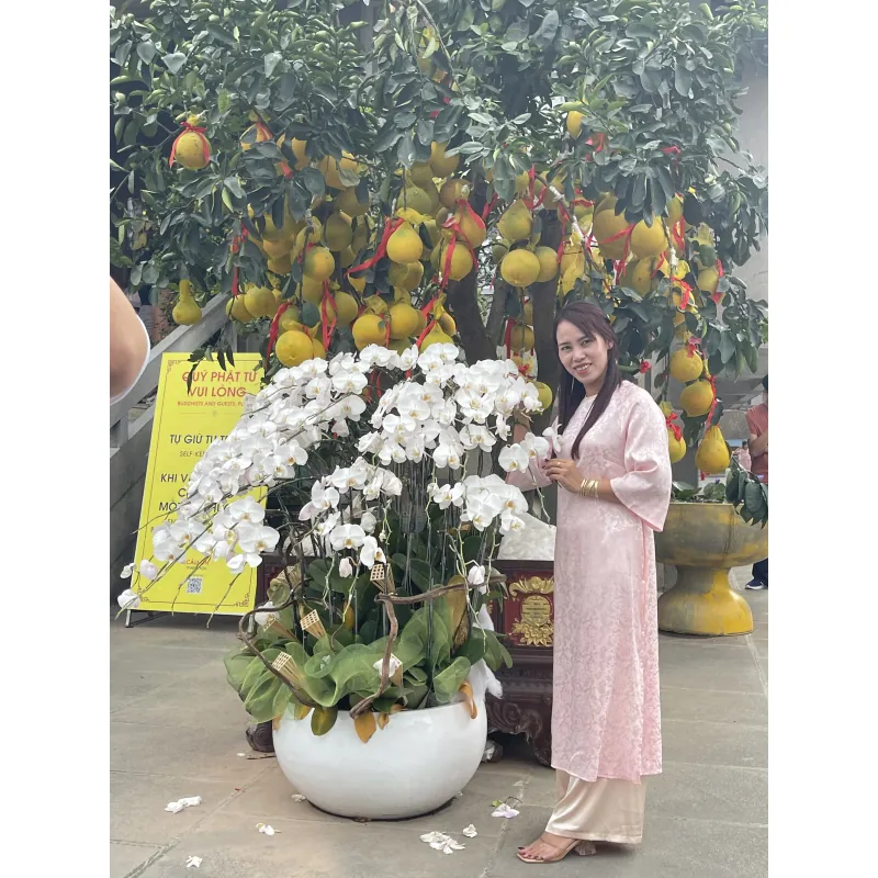 á dài phom suông size L màu hồng ko kèm quần 797443