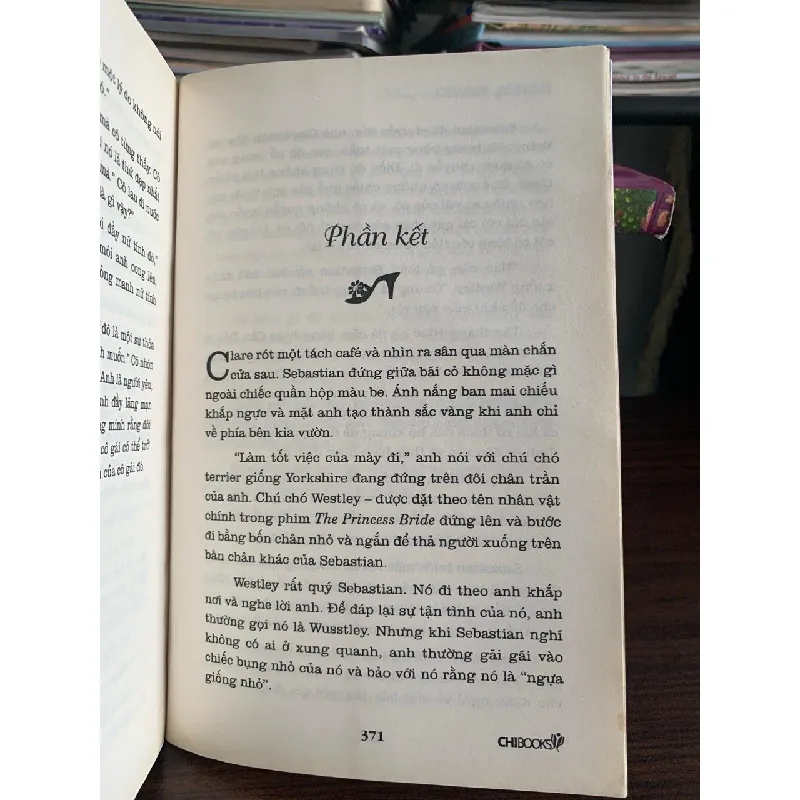 Không còn tâm trạng để yêu (I'm In No Mood For Love) – Rachel Gibson 572157