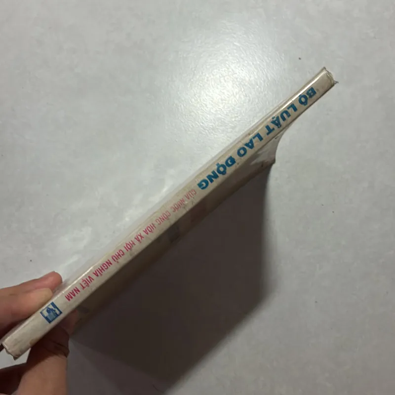 Bộ luật lao động của nước Cộng hòa xã hội chủ nghĩa Việt Nam 759420