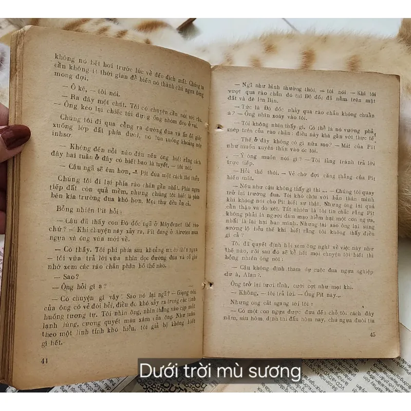 Tiểu thuyết trinh thám cổ điển của Dick Francis: DƯỚI TRỜI MÙ SƯƠNG  703960