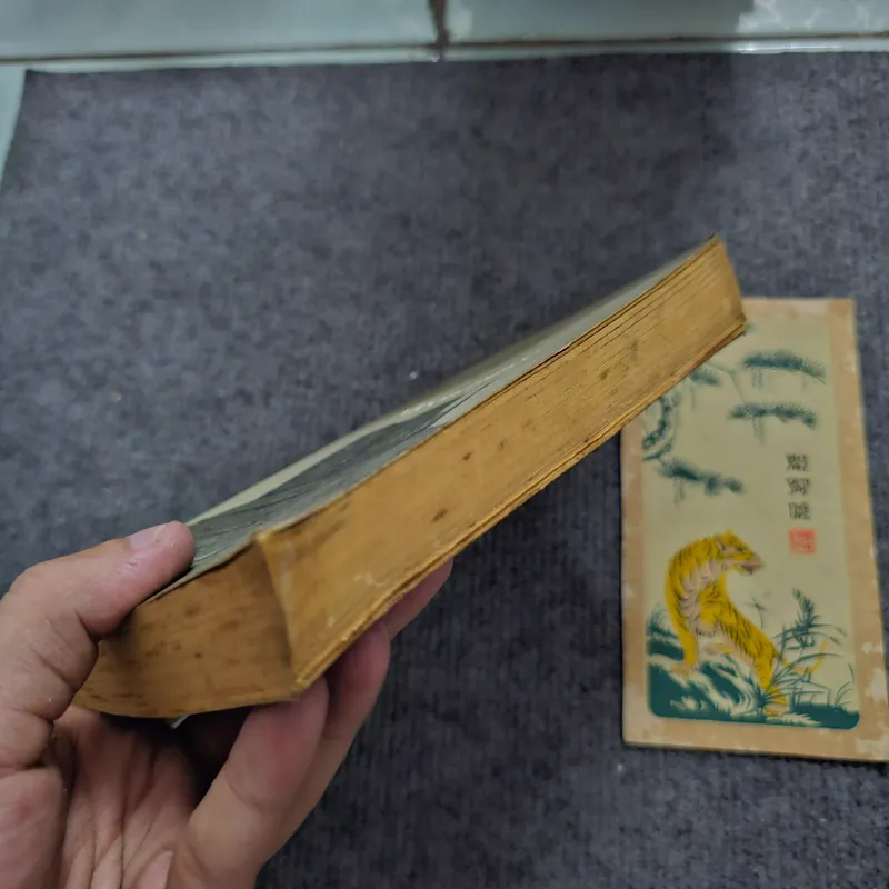 Moon palace - Paul auster 740853