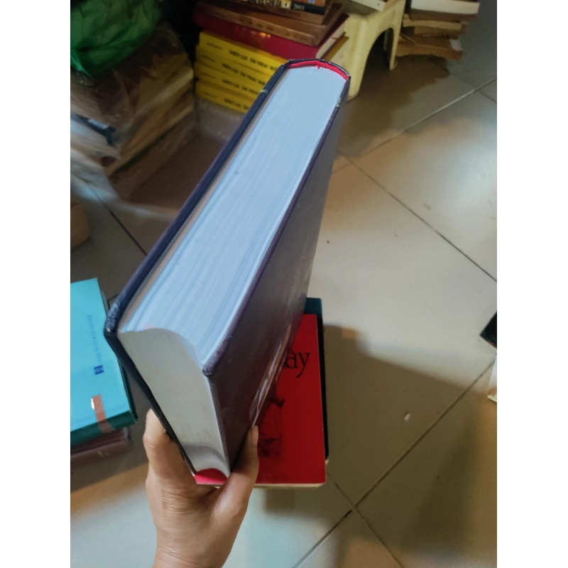 Bộ xương người nói với chúng ta điều gì 526451