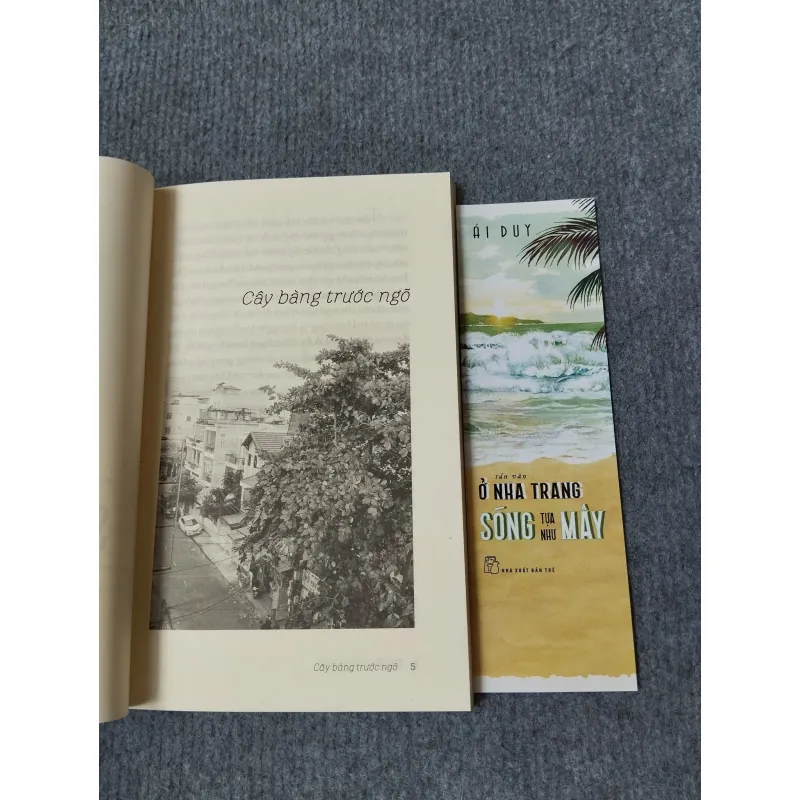 Ở NHA TRANG SÓNG TỰA NHƯ MÂY 727134