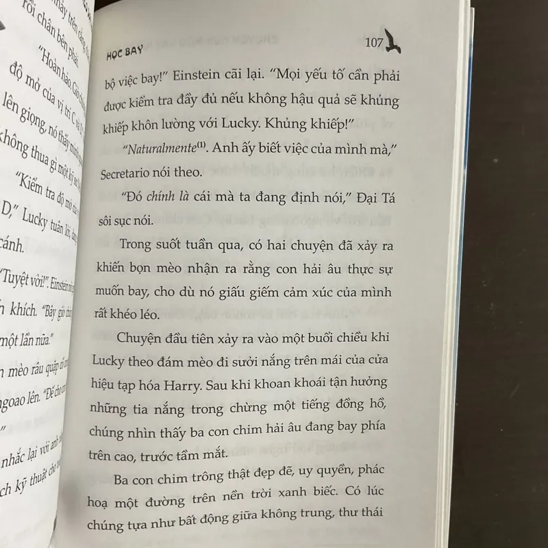 Chuyện con mèo dạy hải âu bay - Luis Sepulveda 717051