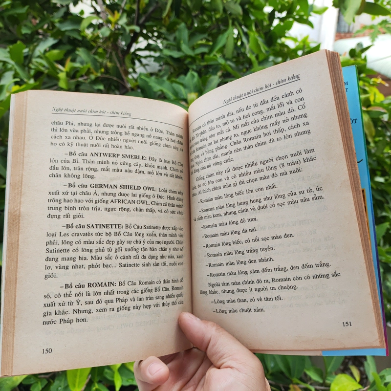 Nghệ Thuật Nuôi Chim Hót - Chim Kiểng 532116