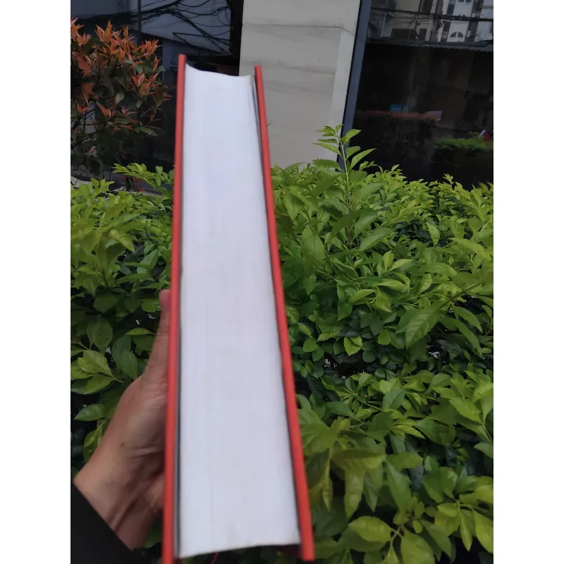 Văn nhân Bình Định một góc nhìn của Lê Hoài Lương  936642