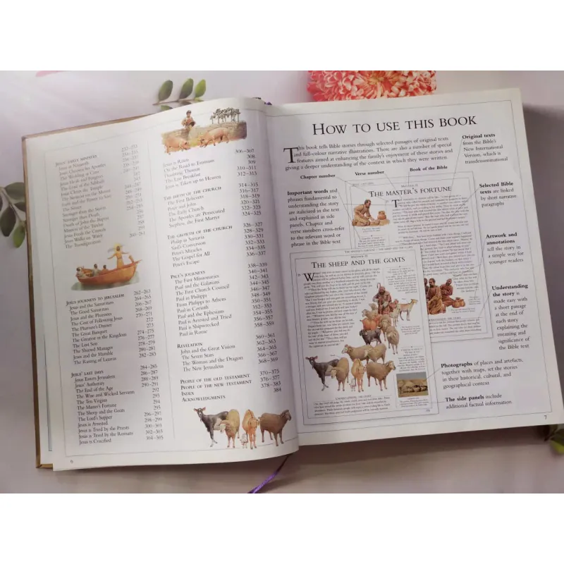 The Dorling Kindersley Illustrated Family Bible 934767