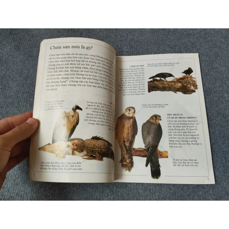 ĐẠI BÀNG - TỦ SÁCH KIẾN THỨC THẾ HỆ MỚI 720727