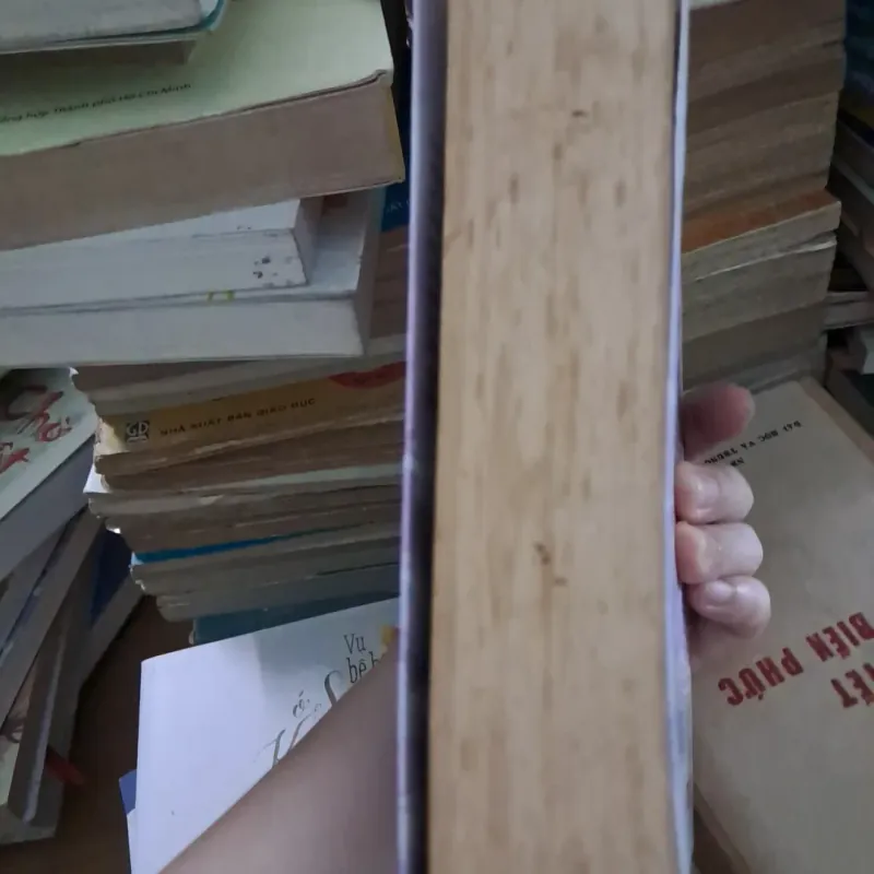 Ai hiểu được lòng em 1021269