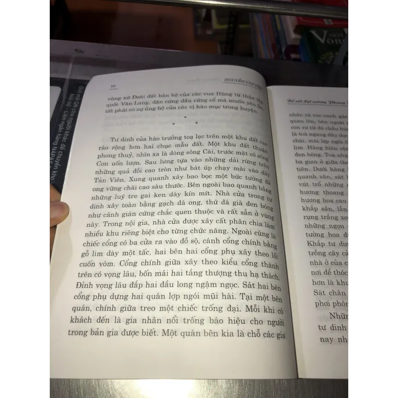 Bố Cái Đại Vương - Phùng Hưng - Nguyễn Văn Hợi 997374