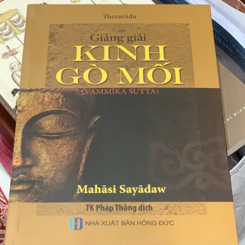 Kinh gò mối 577862