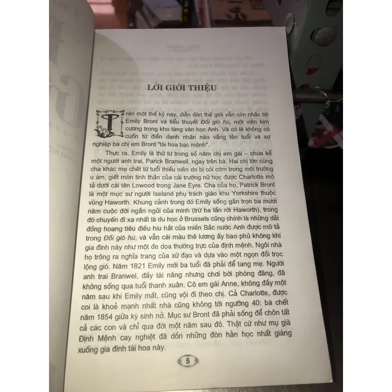 Đồi gió hú - Emily Bronte 1001668