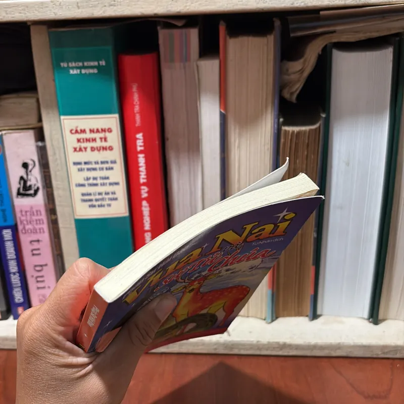 II Sách Phật Giáo: Vua Nai Và Sư Tử Chúa (Truyện Tranh) - Pháp Sư Hải Đào - Từ Nhân (Dịch) 756847