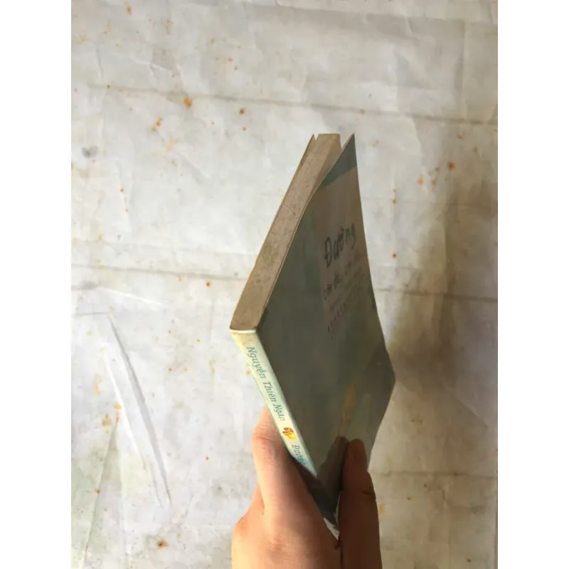 Đường Còn Dài, Còn Dài... - Nguyễn Thiên Ngân 784593