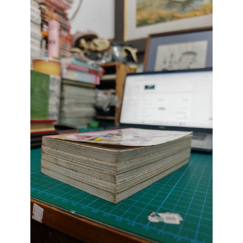 Truyện tranh duyên kỳ ngộ 497103