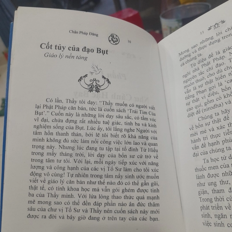 Chân Pháp Đăng - TÌNH YÊU BẤT DIỆT 382799