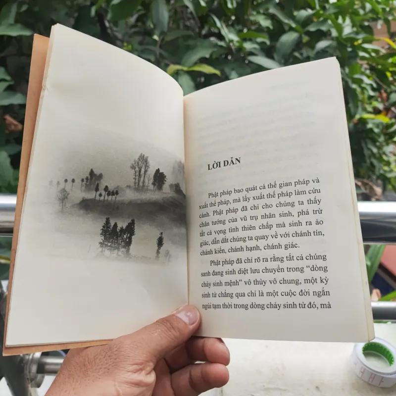 Liễu Phàm Tứ Huấn  928907