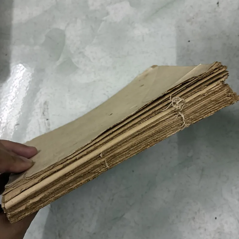 Swai_chan ti và nước mắt 1024819