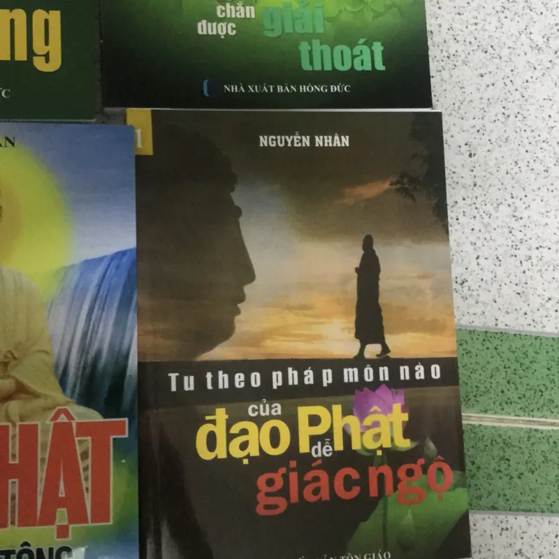 Bộ sách 12 quyển về thiền tông 1023084