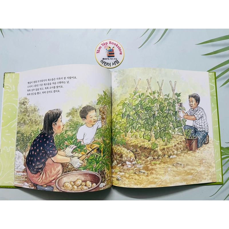 Sách tranh toán học tiếng Hàn 탄탄 수학동화 478800