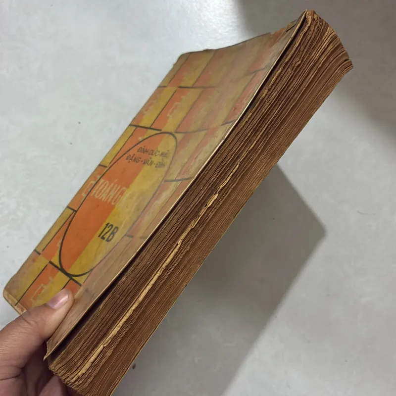 Toán giải tích 12B - Đinh Đức Mậu (sách trước 75) 763192