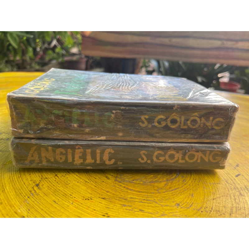 Tình sử Angelic- Secgian Golong 463293